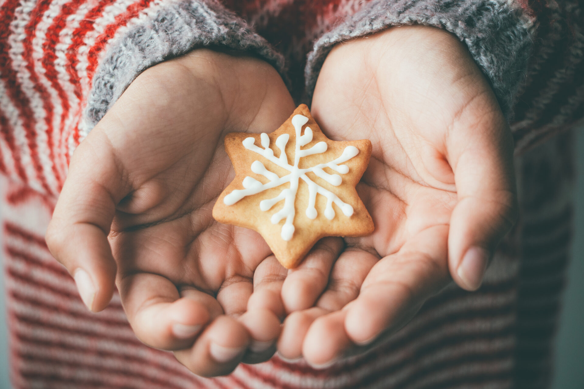 a person holding a small snowflake cookie in their hands