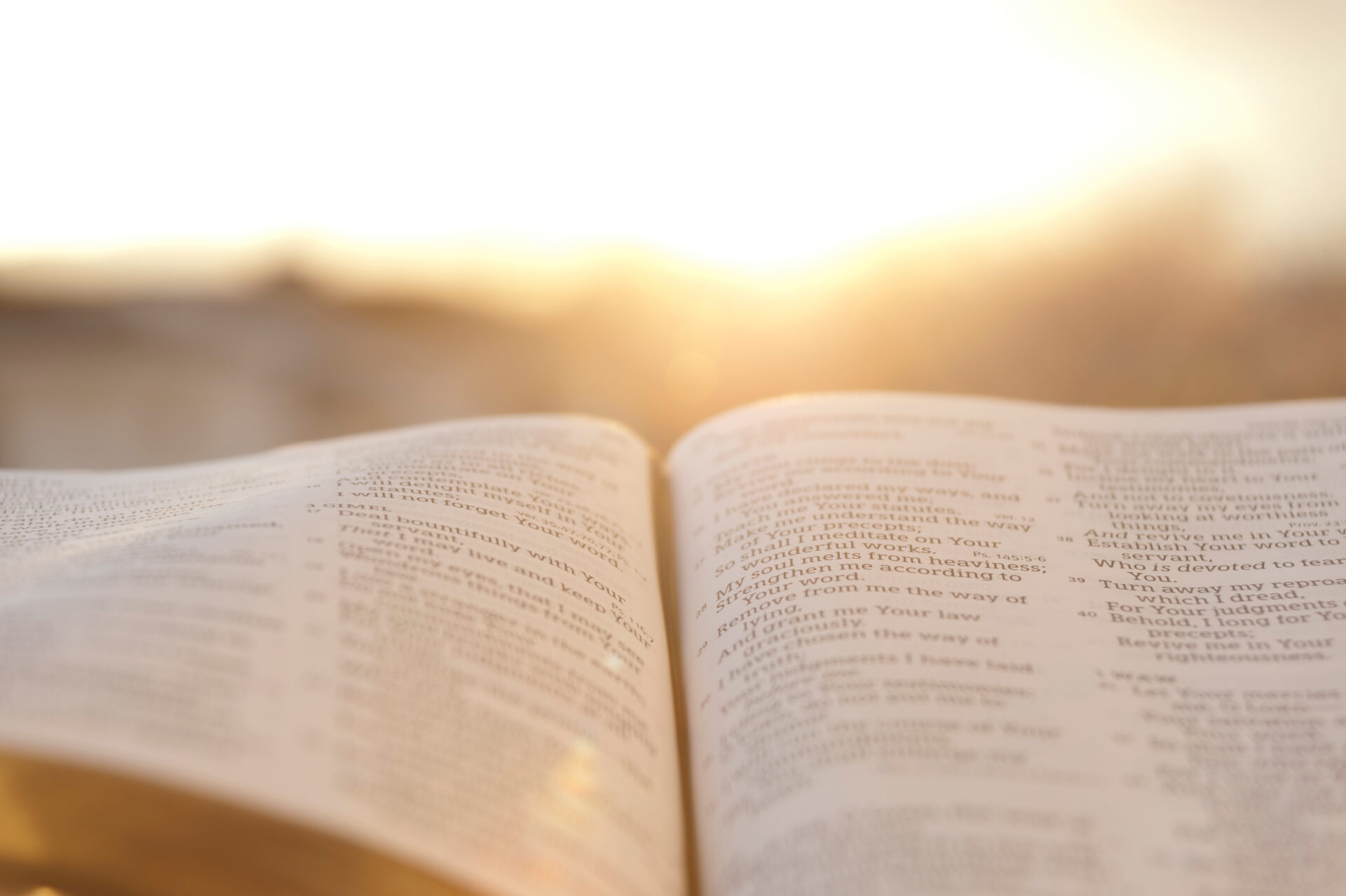 Bible open in front of the sun.